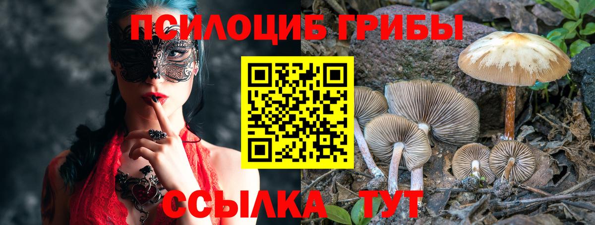 Псилоцибиновые грибы MAGIC MUSHROOMS Каменка