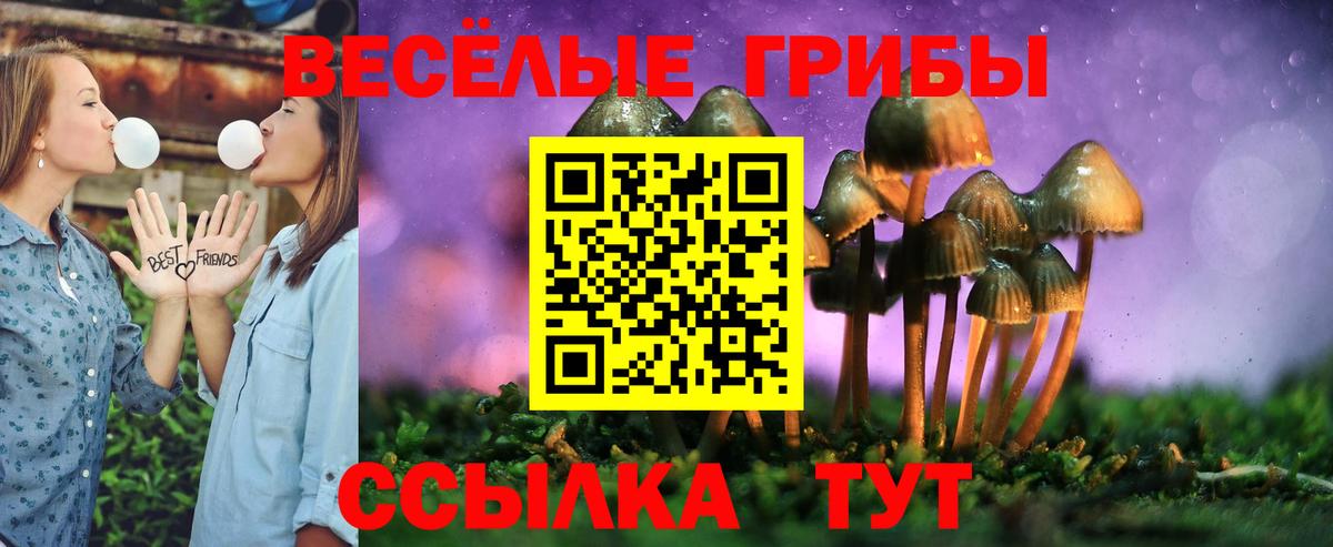 Каменка  наркота  Вход с VPN  Псилоцибиновые грибы мухоморы  Псилоцибиновые грибы прущие грибы 