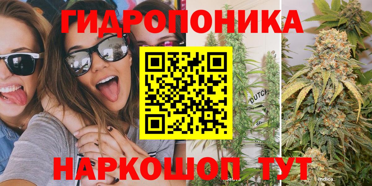 Бошки Шишки план Каменка
